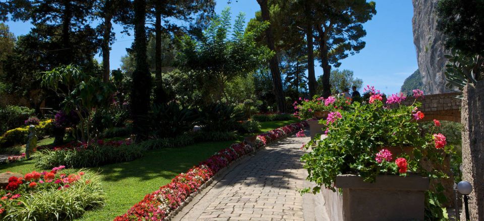 From Capri: Capri Walking Tour - Augustus Gardens and the Belvedere: the photo payoff