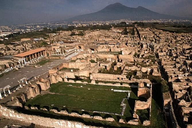 From Pompeii: Day Tour of Pompeii and Vesuvius with Bus Transfer - Climbing Vesuvius: bus to 1,000 m and hike to the crater rim