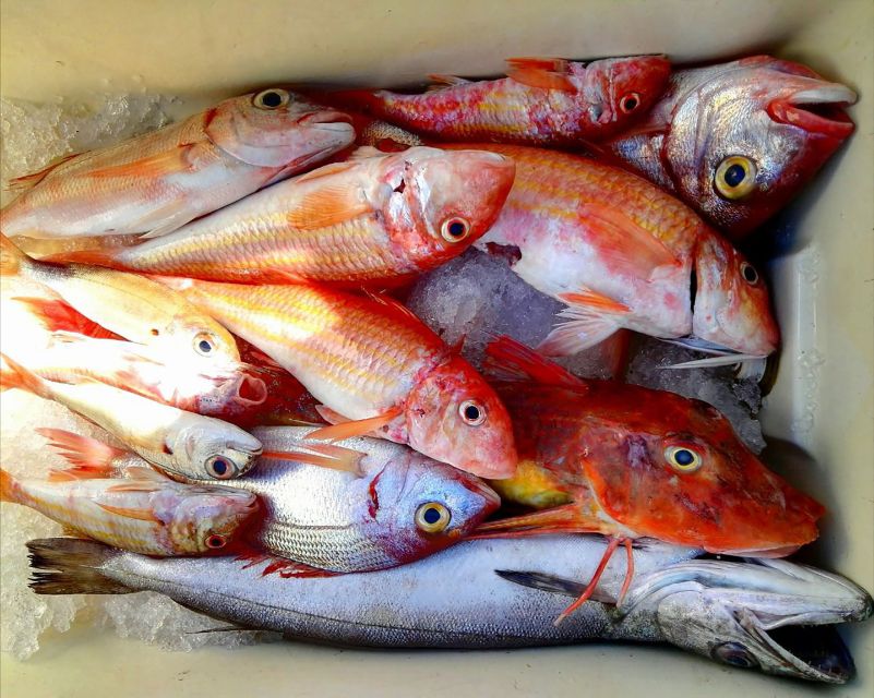 From Sorrento: Fishing in Capri with Lunch - Key Things You’ll Notice on This Capri Fishing Day