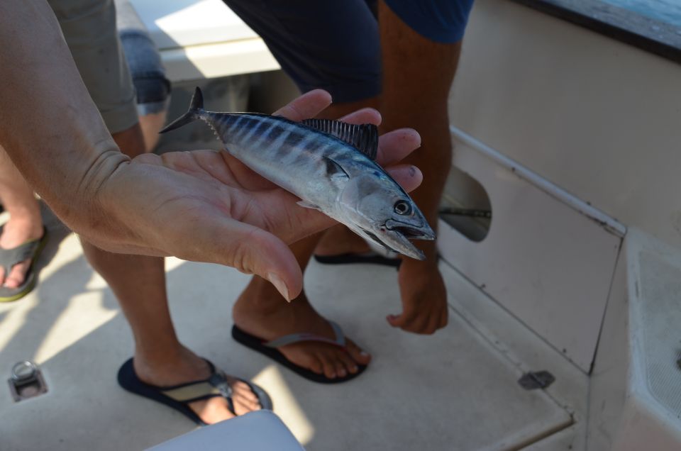 From Sorrento: Fishing in Capri with Lunch - Price and Value: Is $215.24 Worth It?