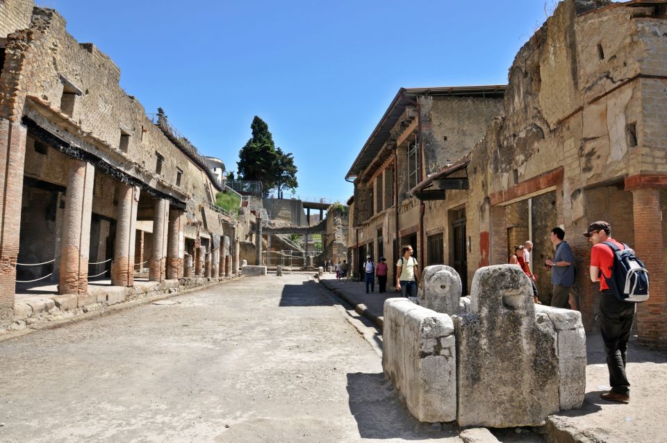 From Sorrento: Herculaneum Guided Tour with easy Lunch - Key highlights worth your attention