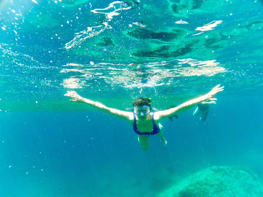 From Sorrento: Ischia and Procida Boat Tour - Procida Swim Stop and 1–2 Hours on Land