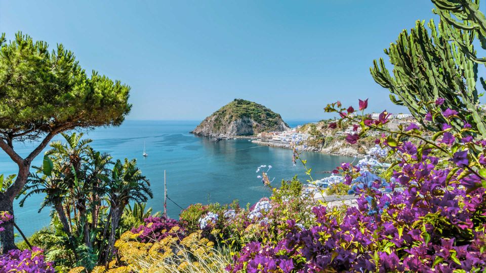 From Sorrento: Ischia and Procida Boat Tour - Practical Stuff That Makes or Breaks Your Day