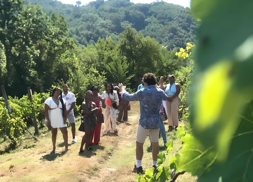 From Sorrento & Naples: Cortecorbo Wine & Cooking Experience - What it feels like with the Cortecorbo family