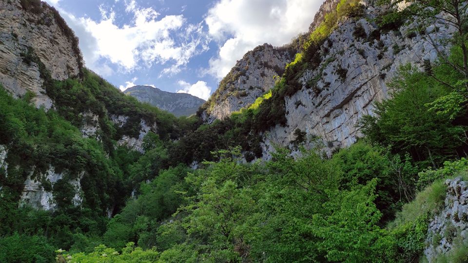 From Sorrento: Path of the Gods Hike with Tasting Stop - Pacing, guides, and trekking poles that actually help