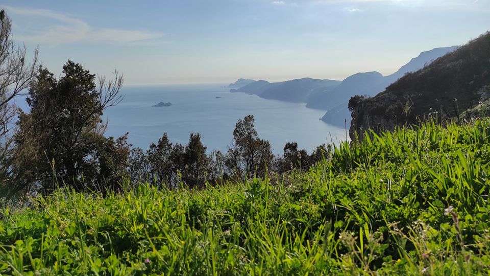From Sorrento: Path of the Gods Hike with Tasting Stop - Price and value: what you get for about $129