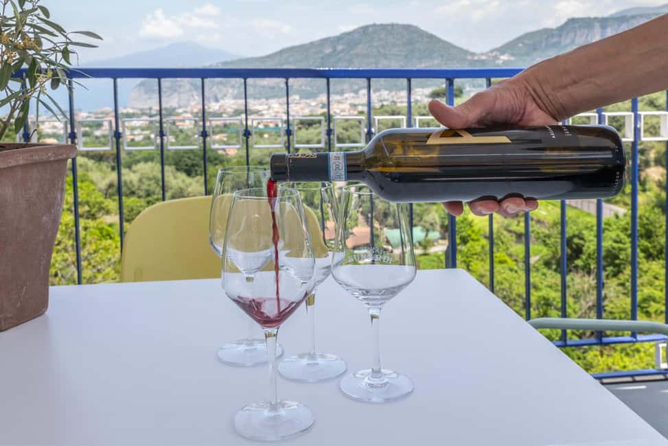 From Sorrento: Pizza-Making Class w/ View of Mount Vesuvius - Practical Tips So You Get the Best Day