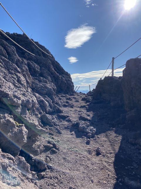 From Sorrento: Pompeii and Vesuvius Skip-the-Line Tour - Pompeii With a Live Guide: What You’ll See in 2 Hours