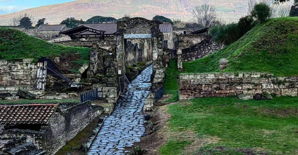 From Sorrento: Pompeii and Vesuvius Skip-the-Line Tour - Skip-the-Line Pompeii Entry: What You Gain