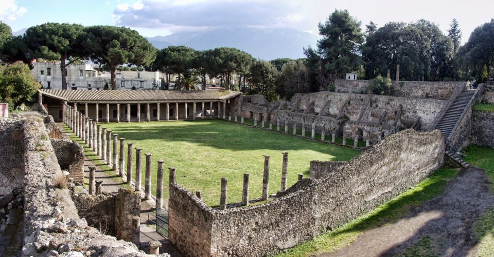 From Sorrento: Pompeii & Mt. Vesuvius Tour with Lunch & Wine - The vineyard lunch and wine stop that actually works