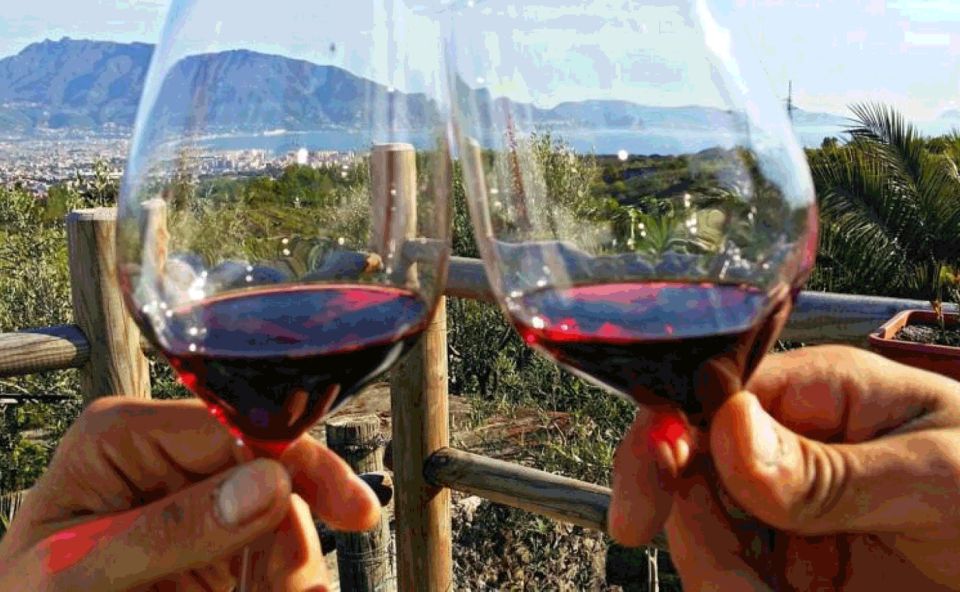 From Sorrento: Pompeii & Mt. Vesuvius Tour with Lunch & Wine - Mt. Vesuvius: the rim-top climb and the geology lesson