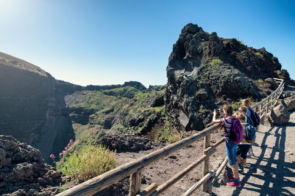 From Sorrento: Semiprivate Vesuvius Tour - Should you book this Vesuvius tour?