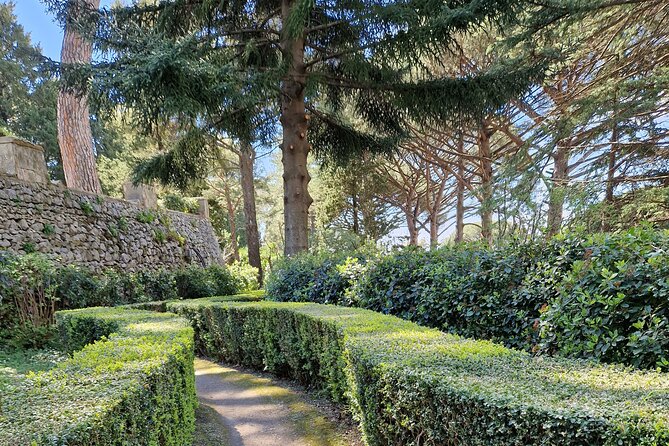 Full Day Private Tour of Pompeii and the Amalfi Coast - Lunch and wine tasting near Pompeii: optional, long, and worth it if it fits