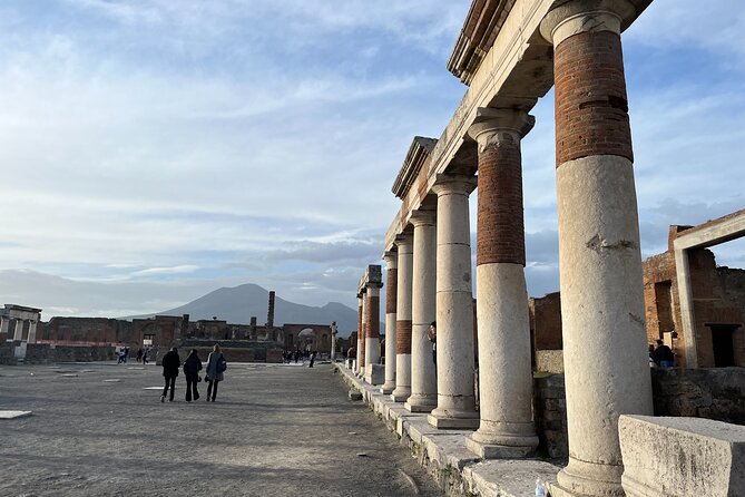Full Day Private Tour to Pompeii, Herculaneum and Oplontis - A private van day that lines up three Vesuvius sites