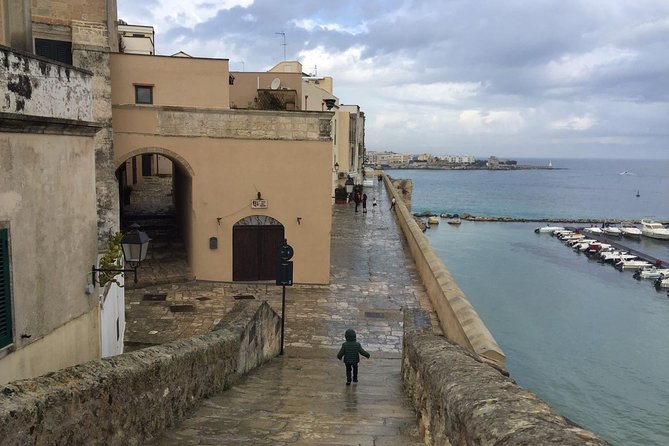 Full-Day Sorrento Positano Pompeii Tour - Comfort and COVID-era safety steps that are actually specific