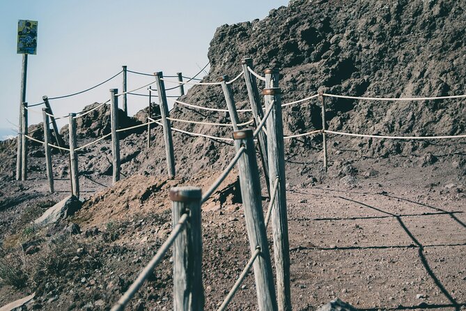 Full Day Tour to Pompeii, Vesuvius and Wine Tasting - Bosco de Medici Winery: lunch views and Vesuvius-area wine