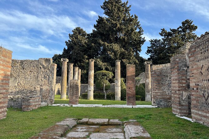 Full Day Tour to Pompeii, Vesuvius and Wine Tasting - Who this tour suits best (and who should skip it)