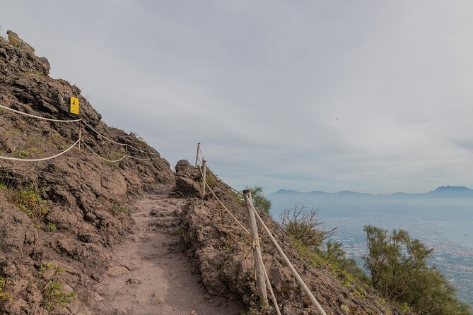 Full Day Tour to Pompeii, Vesuvius and Wine Tasting - A note on guides: Maria and Paolo-style energy