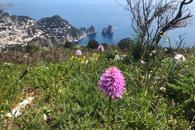 Gastronomic Hike on the Path of the Gods with Food Tasting - Getting the most out of the hike: gear, timing, and safety reality