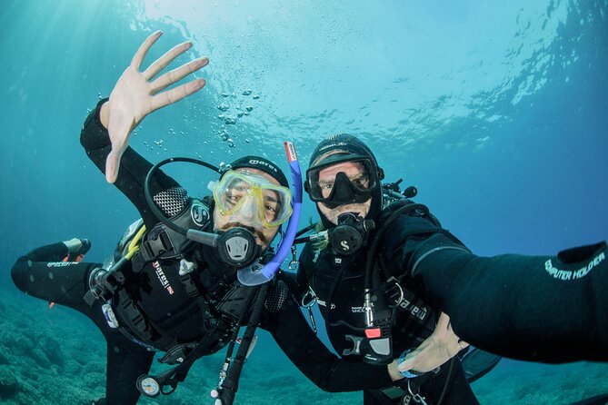 Guided diving for beginners without certification from Sorrento - Key Highlights at a Glance