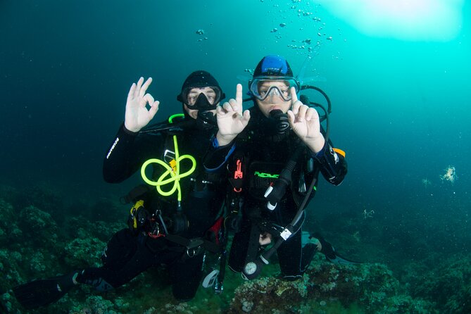 Guided diving for beginners without certification from Sorrento - Where You’ll Swim: Punta Campanella Off Capri from Sorrento