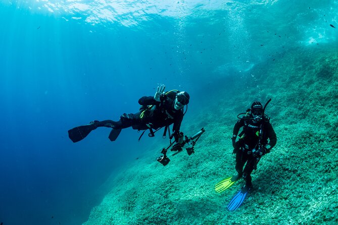 Guided diving for beginners without certification from Sorrento - Small Group + Instructor Attention: Why People Feel Comfortable