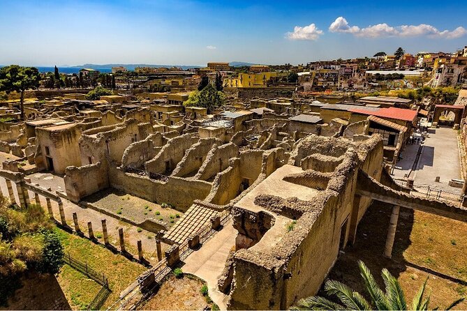 Guided Tour of Herculaneum with Lunch and Ticket Included - Key things you should know before you go