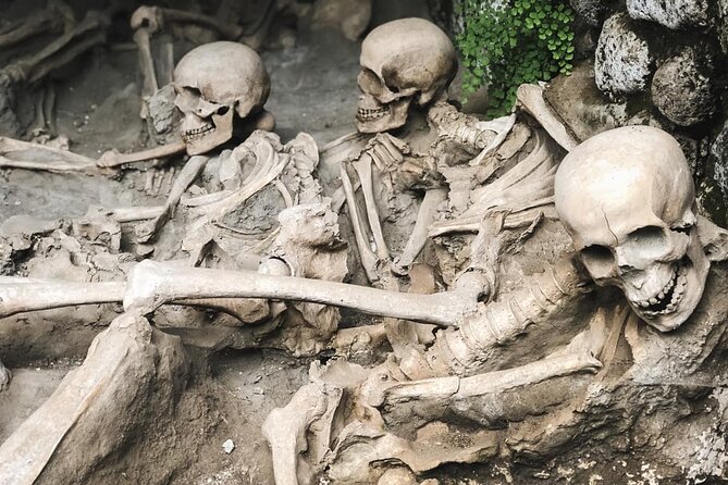 Guided Tour of Herculaneum with Lunch and Ticket Included - Guides can make or break the day (and these guides sound like pros)