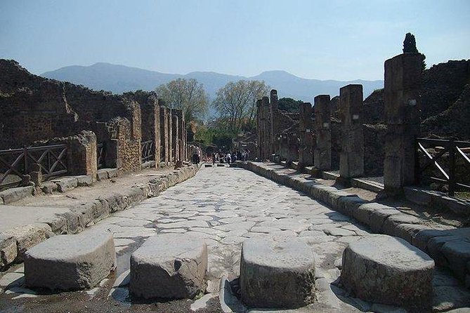 Guided Tour of Pompeii and Herculaneum with Lunch and Ticket - Stabian Baths: Politics, Power, and the Rituals of Daily Washing