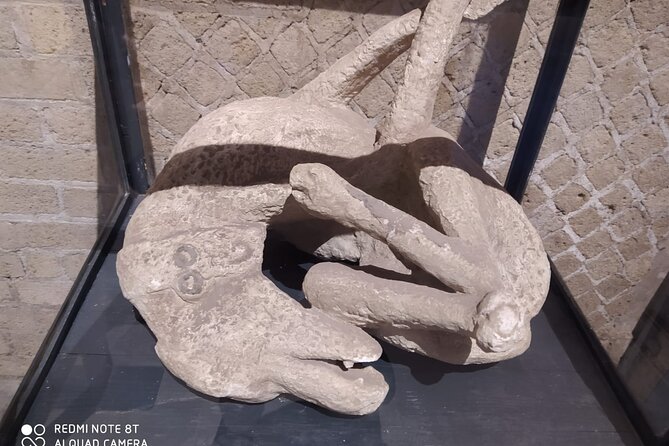Guided Tours of Pompeii Excavations Historical and Cultural Itineraries - Why this Pompeii route feels like a story, not a checklist