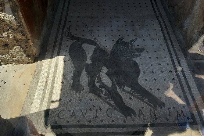Guided Tours of Pompeii Excavations Historical and Cultural Itineraries - Stop 2: Tempio di Venere and the Venus terrace view