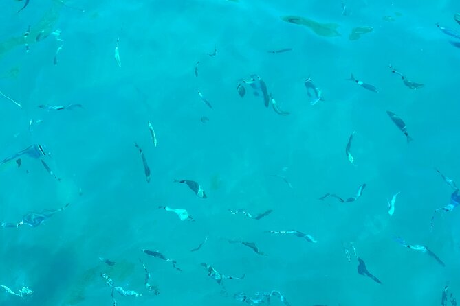 Half-Day Amalfi Coast Boat & Snorkeling Small Group Tour - Drinks on a Boat: Fun, But Pace Yourself