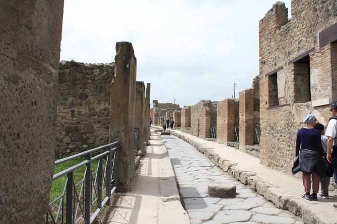 Half-Day Exclusive Private Tour of Pompeii and Herculaneum - How the Tour Runs in Real Life (and What to Plan)