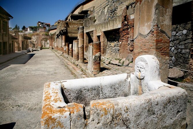 Half Day Herculaneum from Sorrento - Key highlights you’ll actually feel on the day