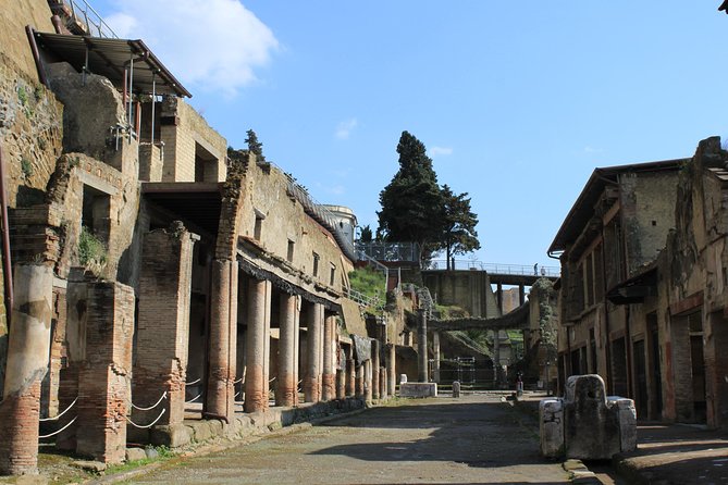 Half Day Herculaneum from Sorrento - Price and value: is $96.11 a smart deal?