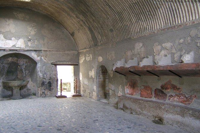 Half Day Morning Tour of Herculaneum from Sorrento - Parco Acheologico di Ercolano: your guided walk through a buried city