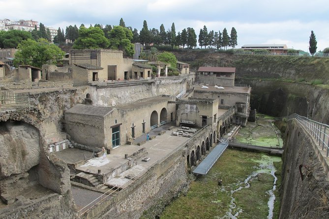 Half Day Morning Tour of Herculaneum from Sorrento - Morning logistics: what the early start gives you