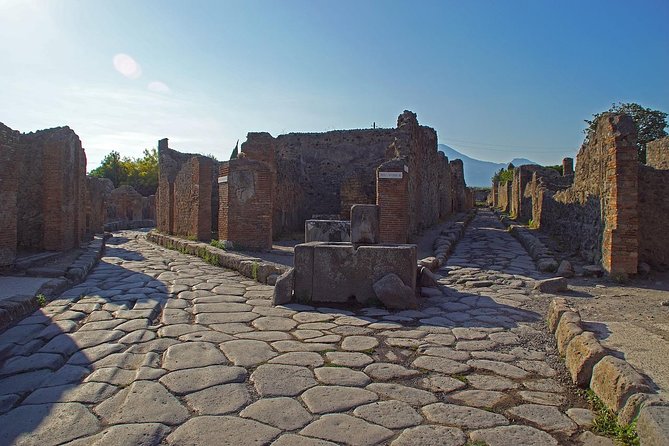 Half Day Morning Tour of Pompeii from Sorrento - What you’re paying for: value of a $80.68 half-day