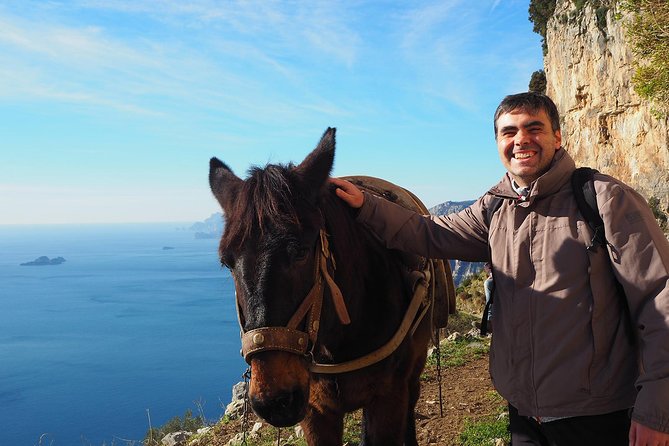 Half-Day Private Amalfi Coast Path of the Gods Hike with Lunch - Private guide value: what you’re paying for at $336.07 per person