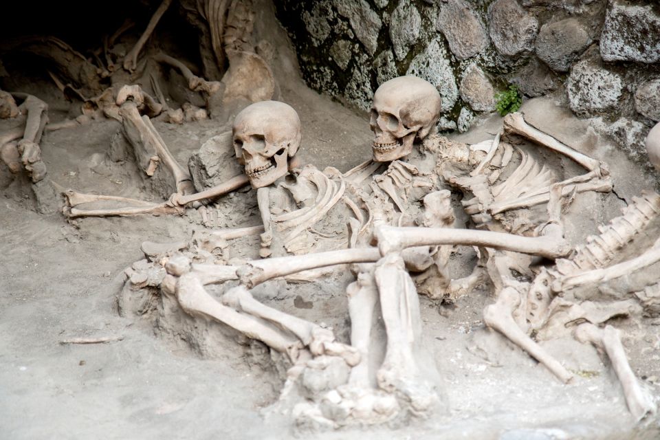 Herculaneum: 2-Hour Skip-the-Line Tour from Sorrento - Inside Herculaneum with an authorized Campania guide