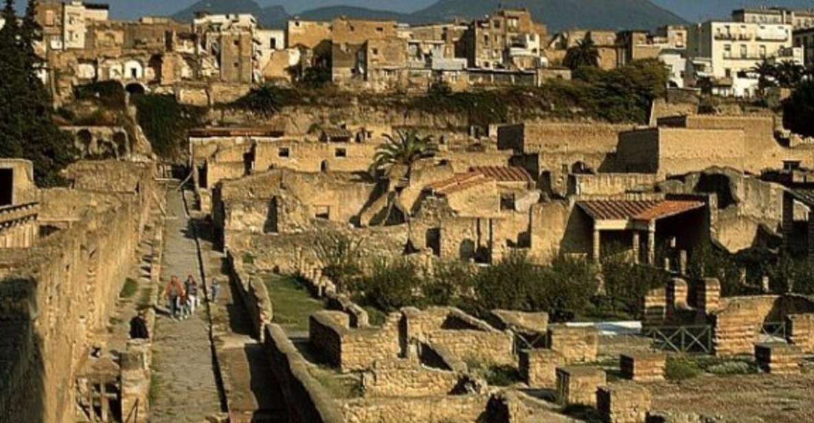 Herculaneum: 2hour Shared Guided Tour + entry tickets - Why Herculaneum Still Hits Different Than Pompeii