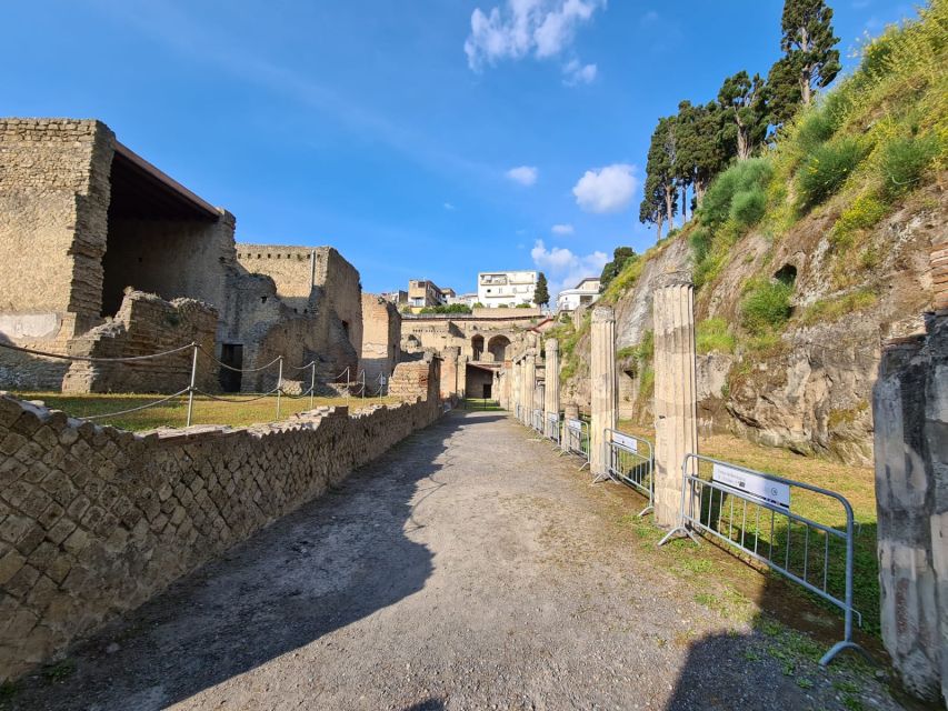 Herculaneum Archaeological Park smart Audio Tour - Should You Book This Smartphone Audio Tour?