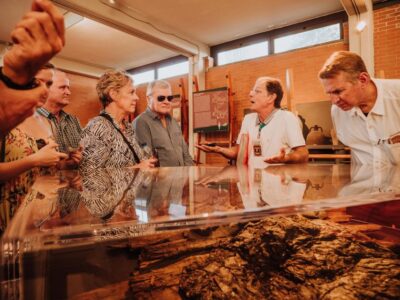 Herculaneum: Private Walking Tour with Archeologist Guide - What the private 2-hour archaeologist walk actually gives you