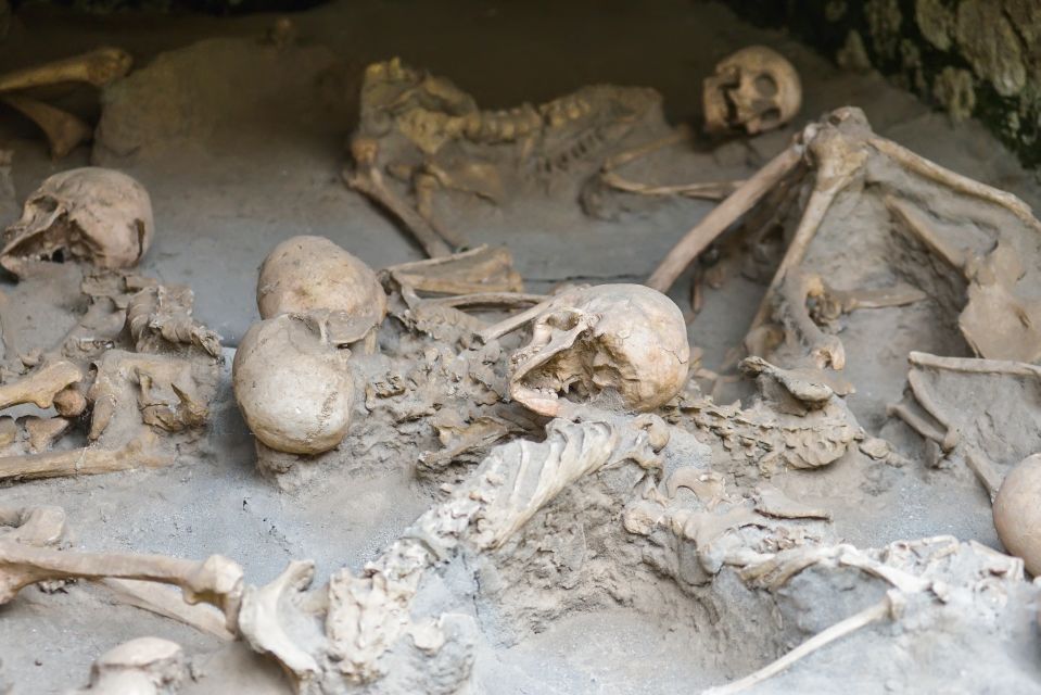 Herculaneum: Private Walking Tour with Archeologist Guide - Price and value: what you’re paying for in a private archaeologist tour