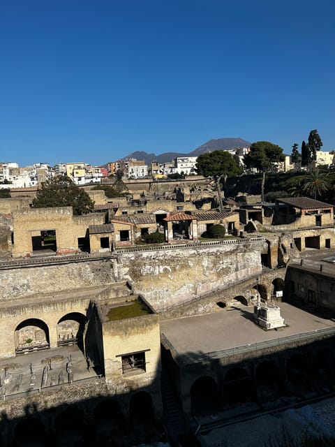 Herculaneum - Small Group Tour (admission included) - What the guide quality adds (and why it matters)