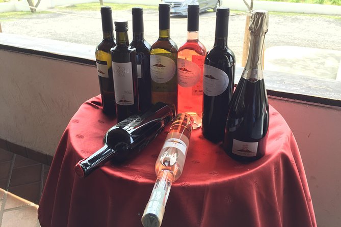 Herculaneum-Wine tour from Sorrento, with licensed guide included - Parco Acheologico di Ercolano: What You Get in About 1h45
