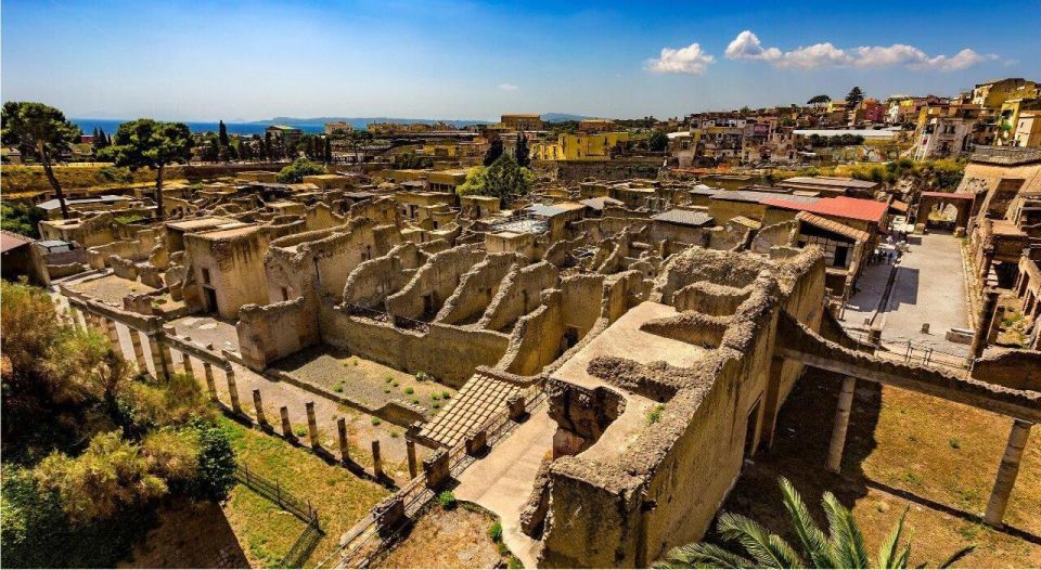 Herculaneum with an Archaelogical Guide & Ticket - Key Things To Know Before You Go