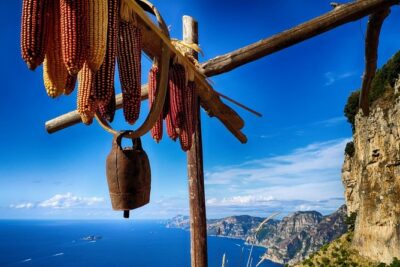 Hike The Path Of Gods from Sorrento - Hike the Path of the Gods section: vineyards, terraces, and cliff views