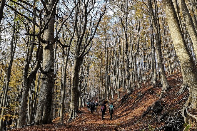 Hiking on Faito Mountain from Sorrento - Pickup, Timing, and How the Day Flows