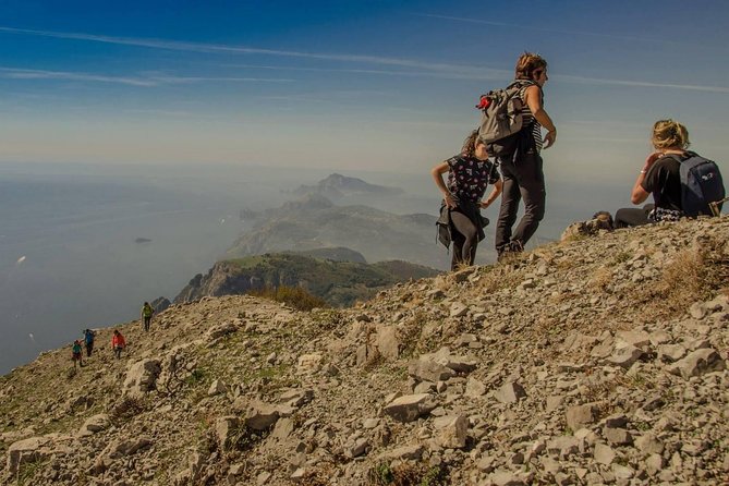 Hiking on Faito Mountain from Sorrento - The 6km Trail: Beech and Conifer Forest Walk